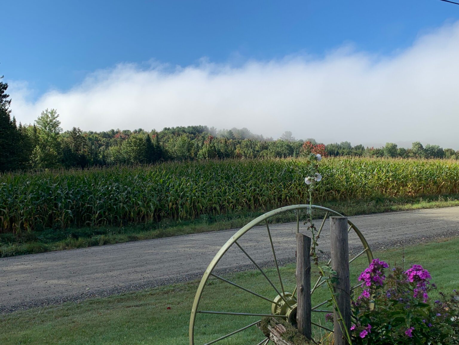 Présentation et historique Canton de Westbury
